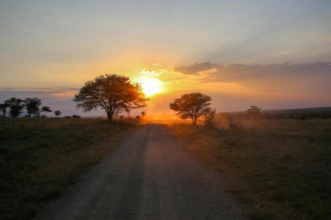 Osero Serengeti Luxury Tented Camp Banagi ภายนอก รูปภาพ